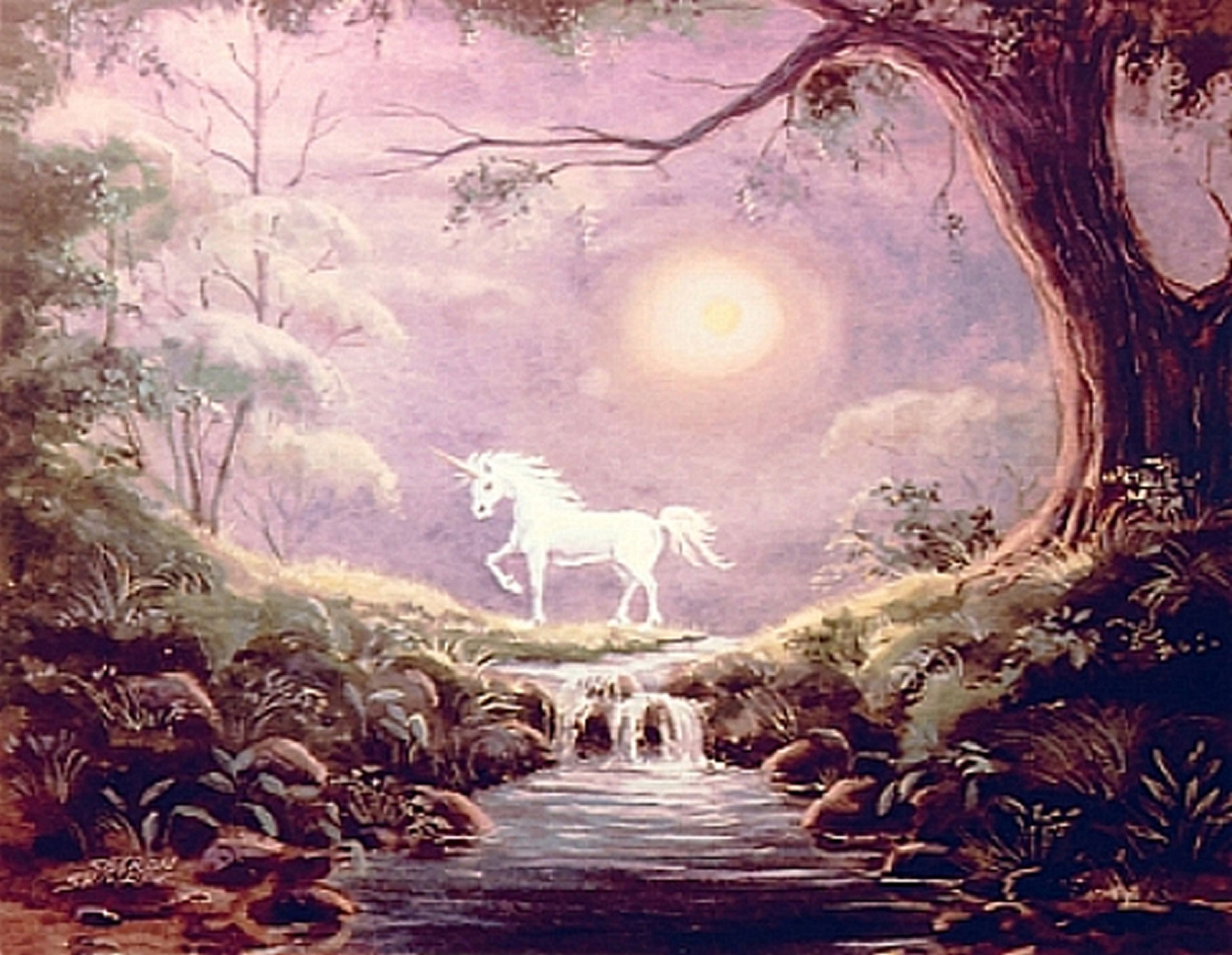 misty unicorn